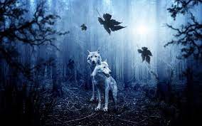 Download and use 100,000+ background stock photos for free. 2 000 Free Wolf Pictures Images Hd