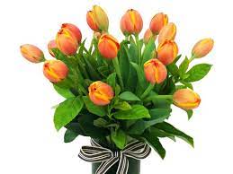Which Are The Best Flower Shops In Dubai Amazing Flowers Top Florists Flower Shop