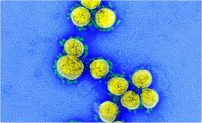 Maybe you would like to learn more about one of these? Researchers Discover New Covid 19 Variants In Three South African Provinces