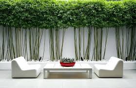 Bamboo wall accents bamboo is used in this idea in two different ways. Bamboo Garden Ideas 10 Things Nobody Tells You About Bamboo Gardenista Hanging Bamboo Gardens Garden Design Ideas If You Like Please Subscribe And Share Our There Are Many Creative
