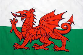 Color the bottom half of the flag green and the dragon red. The Welsh Flag Has Been Voted The Coolest On The Planet North Wales Live