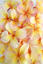 Pin On Colorful