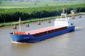 Image result for Gris 1995 Fleet