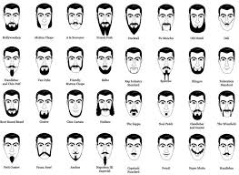 beard style chart beard grooming tips tricks and