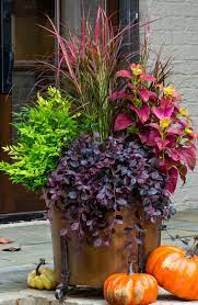 Use a portable filtration system to keep your plants in ideal shape. 5 Fall Container Gardening Ideas For Your Patio Hope Reflected