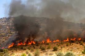 Φωτιά τώρα κοντά σε σπίτια στη σαλαμίνα · ελλάδα. Fwtia Manh Archives Laconialive Gr H Enhmerwtikh Istoselida Ths Lakwnias Nea Kai Eidhseis