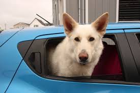 Evening walks in Budapest.🫠 IG:bernat_pictures