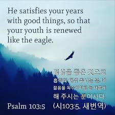 시편 103편 시편 사랑