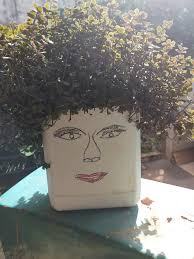 I've never known the name of this plant,it's beautiful, looks like my  African hair