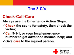 Learn how to conduct a primary survey of a medical emergency, learn how to respond to an emergency. American Red Cross Disaster Preparedness For The Silicon Valley Community Ppt Download