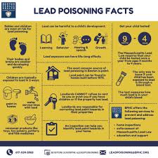 Image result for Lead Poisoning