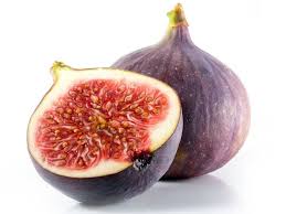 Fig