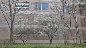 은밀한 매력 파닥의 팬트리 컬렉션 분석