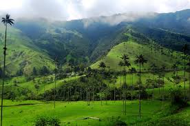 Colombia Luxury Travel | Private Tours | Blue Parallel