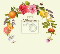 Verschicken sie über uns bequem online blumen & präsente. Vector Naturlichen Runden Rahmen Mit Hibiskus Blumen Zitrusfruchte Leinwandbilder Bilder Citrous Kranz Homoopathie Myloview De