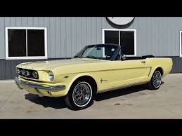 Image result for Sunlight Yellow 1964 Mustang