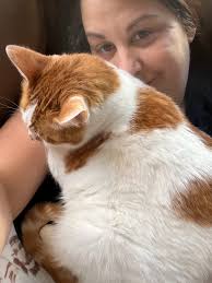 Fundraiser by Danielle Devine : Urgent Care Needed for Nemo's Survival