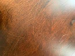 I do not know if they are finished but judging. Remove Dog S Scratches On Hardwood Floor Without Refinishing Hometalk