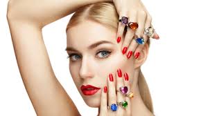 Best of the Territory: Search