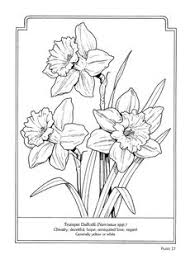 Enjoy the cheery blooms of one of the first spring flower bulbs to bloom. 47 Daffodils Ideas Daffodils Daffodil Flower Flower Coloring Sheets