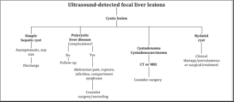 While many mast cell tumors are found in the skin, they can affect the lymph nodes, spleen, liver, intestine, and bone marrow too. Diagnosis And Treatment Of Benign Liver Nodules Brazilian Society Of Hepatology Sbh Recommendations