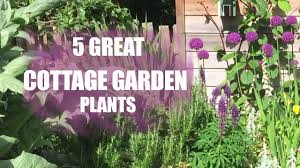 How to grow a cottage garden. 5 Plants For A Cottage Garden Youtube