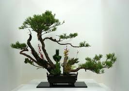 Features very fine toothing perfect for show details. Ikenobo Style Ikebana Exhibitions Flowers Mirroring The Seasons Matcha Japan Travel Web Magazine