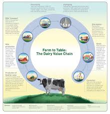 Who We Are Farm Facts Farm Lessons Dairy