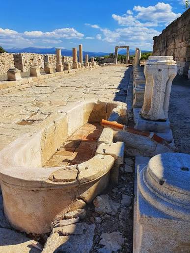 Ancient Roman sauce for fried fish recipe