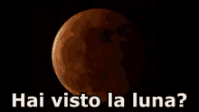 What you're looking at are all the photos i took with my iphone through the lens of a telescope in april of 2014. Lunar Eclipse Gifs Tenor