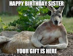 This awesome collection will surely impress your favorite sister. 40 Birthday Memes For Sister Wishesgreeting