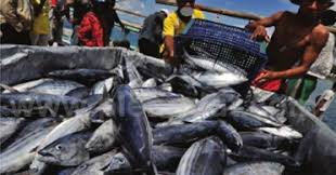 Usaha usaha yang berkembang di masyarakat saat ini. Kegiatan Produksi