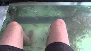 Les Poissons Mangeurs De Peau Morte De Bangkok Fish Pedicure Thailande Youtube