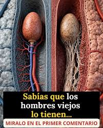 Sabías que los hombres viejos tienen el...Ver más