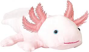 Vitamin a (retinol), vitamin d (calciferol), vitamin e (tocopherol). Uni Toys Axolotl 32 Cm Lange Kaufland De