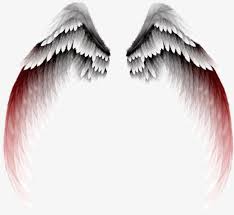 Black And White Angel Wings Png Gradient Angel Wings Angel Wings Png Wings Png Wings Art