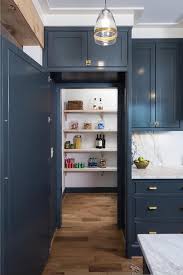 Hidden Walk In Pantry Pantry Design Kitchen Pantry Design Hidden Pantry