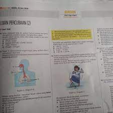 Surat berhenti kerja notis 2 minggu. Tuisyen Individu Setiap Isnin Ada Sisipan Didik Dalam Surat Khabar Berita Harian Belilah Kita Boleh Baca Akhbar Anak Kita Boleh Buat Latihan Dalam Tu Jawapan Pun Disertakan Sekali Tau Soalan Sains
