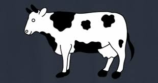 Kuh schwarz-weiß | Kühe | schwarzbunt | Flecken' Frauen Premium Pullover |  Spreadshirt