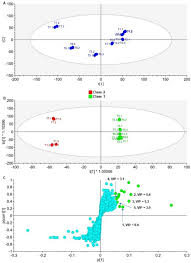 Image result for Momordica cardiospermoides