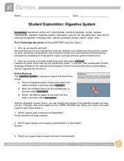 Learning gizmo digestive system answer keybook pdf free download link book now. Pdf 1 Pdf Digestive System Answer Key Vocabulary Absorption Amino Acid Carbohydrate Chemical Digestion Chyme Complex Carbohydrate Digestion Course Hero