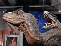 Young Historians: Dinosaurs