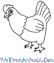 How to draw a cute animal, just a few steps to follow and you will be draw animal of your own easily. How To Draw A Cartoon Chicken