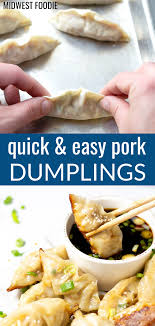 Pork Dumplings Recipe Pork Dumpling Easy Pork Appetizer Recipes
