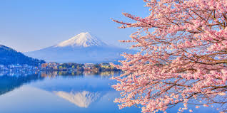 Le japon entend participer activement aux débats prévus. Primavera En Japon Guia Completa Con Consejos Clima Festivales Y Mas