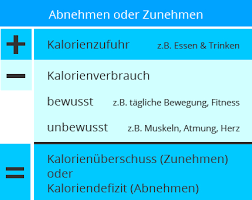 Fitnessgerate Sportgerate Zum Abnehmen Welche Helfen Wirklich