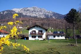 Haustierferien Mayer In Bad Reichenhall Bayern Hund Hundeurlaub Urlaubmithund Urlaub Reisen Allgau Berge Oberbayern Casas Rurales Casas Rurales