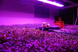 If an led grow light manufacturer claims their light provides the perfect spectrum for your plants, well that's pretty arrogant. Taotronics Led Plant Grow Light