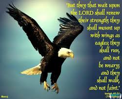 When Eagles Fly Fly Like An Eagle Livingsprings Live Love Learn Empower Eagles Bible Wait Upon The Lord