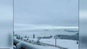 Daca da, cam in ce perioada si care va fi pretul, dat fiind ca in america,.? Agora In Romania A CÄzut Prima ZÄpadÄ Stratul De OmÄt A DepÄÈit 10 Centimetri In MunÈii Apuseni Foto